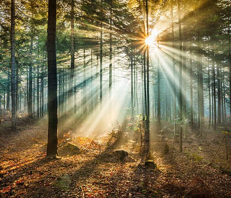 Featured image for “Grief, Growth, and the Gift of Space”