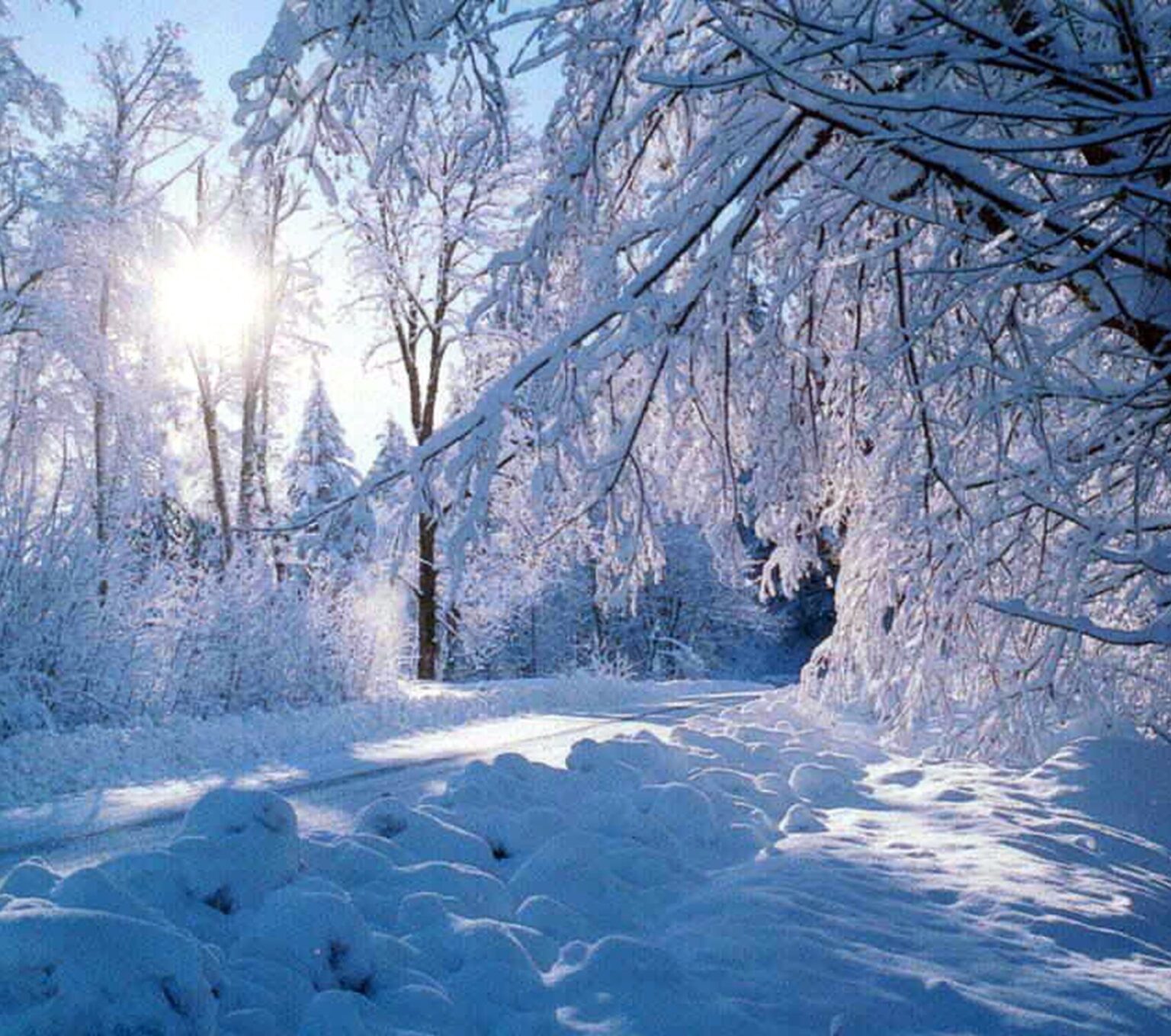 Featured image for “We Live in “the Meantime””