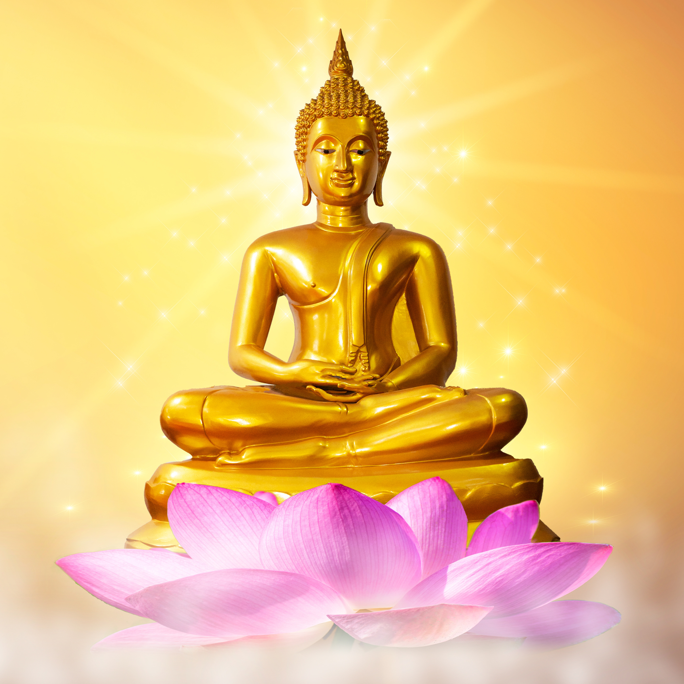 Featured image for “Buddhist Perspectives on Life”