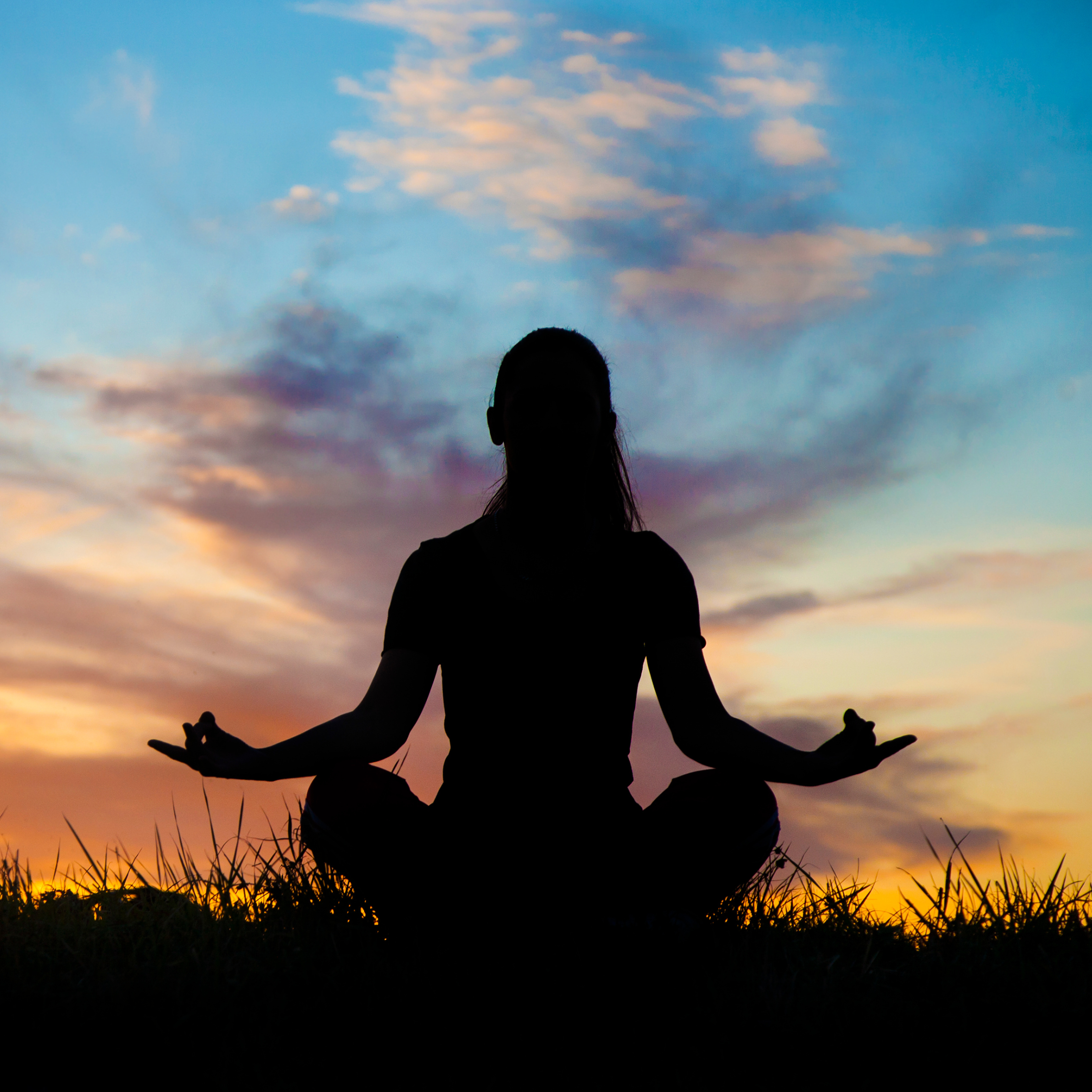 Featured image for “Buddhist Meditation with Buddhist Nun, Ani Palmo Rybicki”